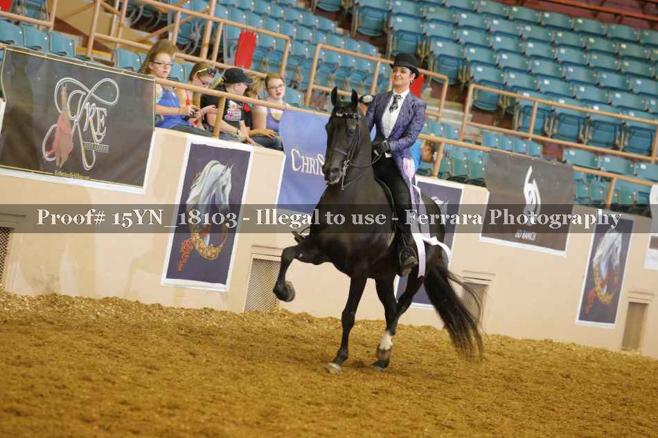 Proof Number 15YN_18103