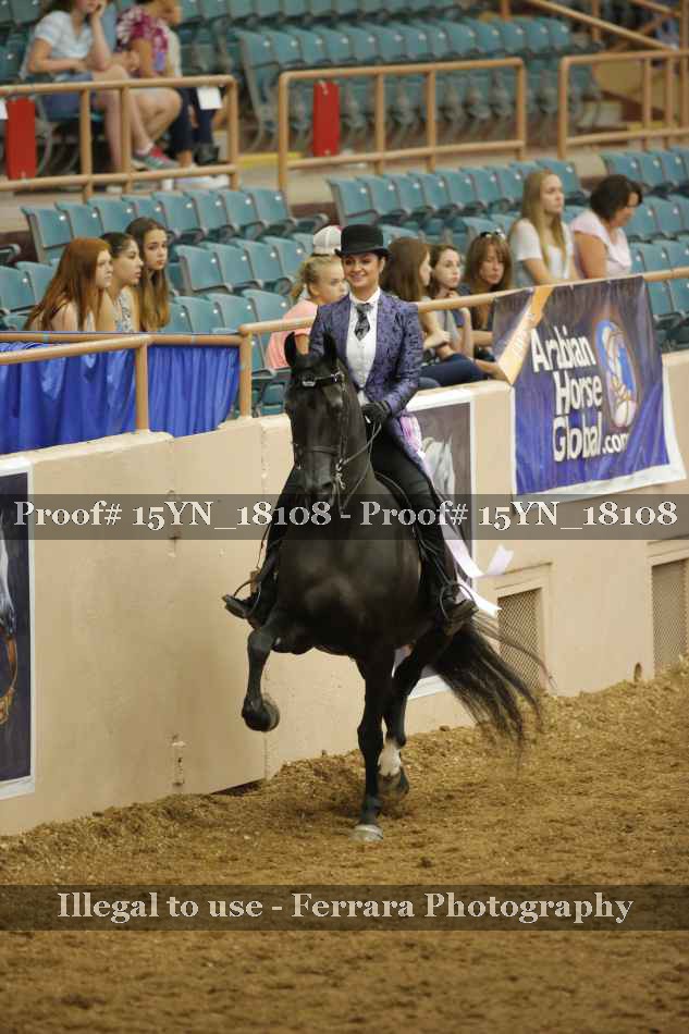 Proof Number 15YN_18108