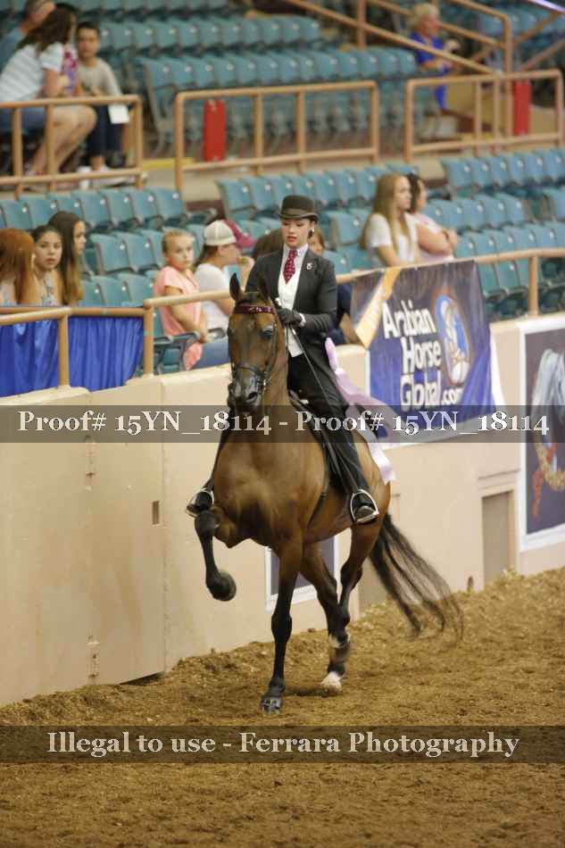 Proof Number 15YN_18114