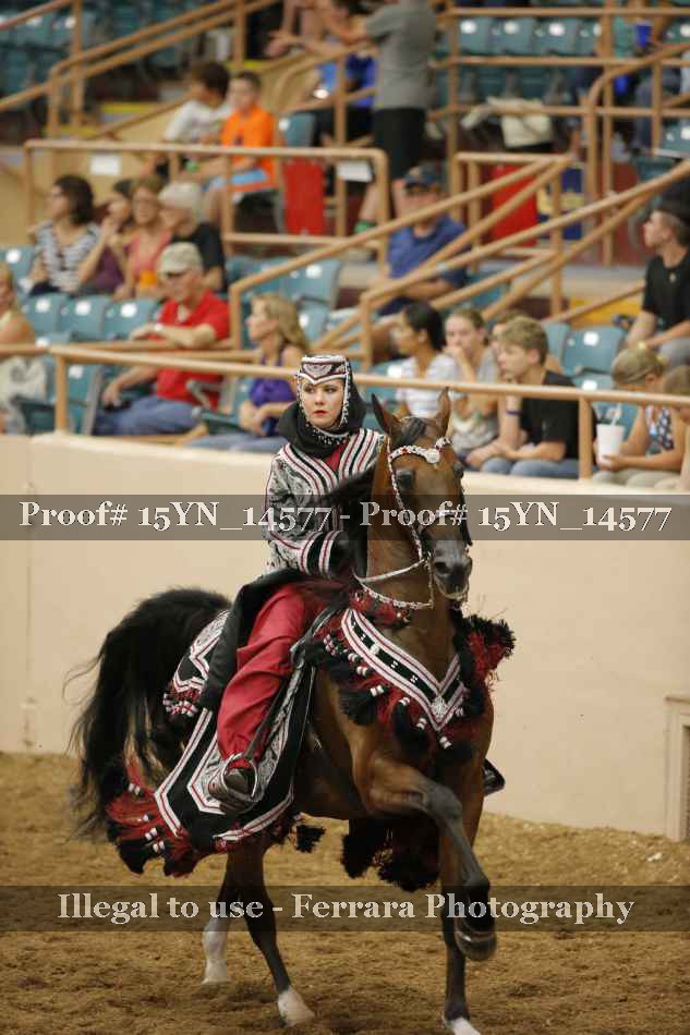 Proof Number 15YN_14577