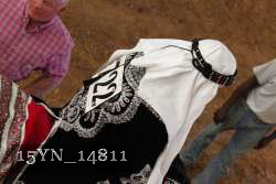 15YN_14811 thumbnail