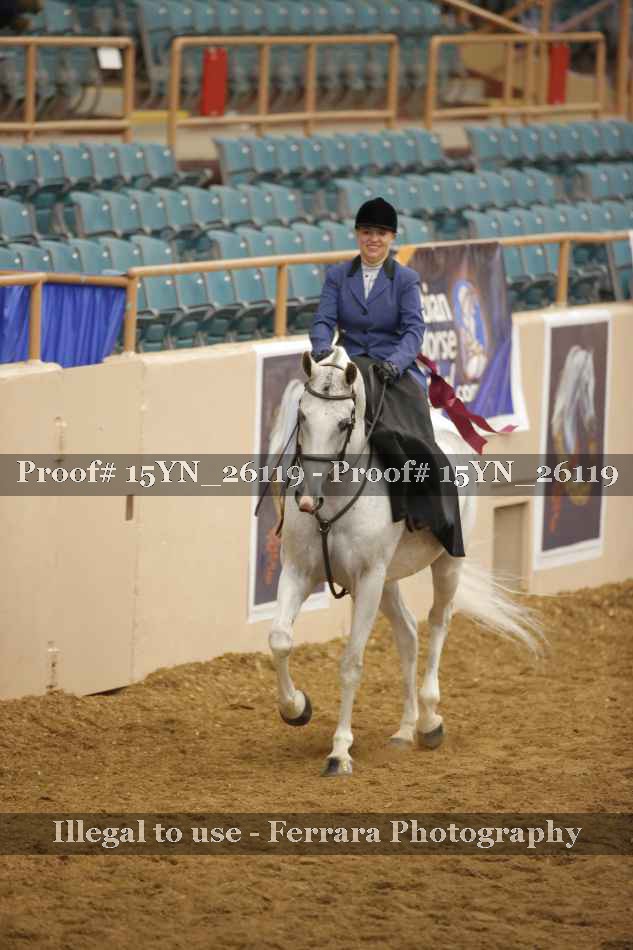 Proof Number 15YN_26119