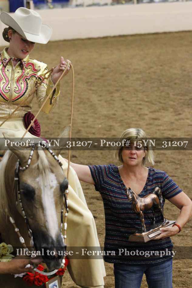 Proof Number 15YN_31207