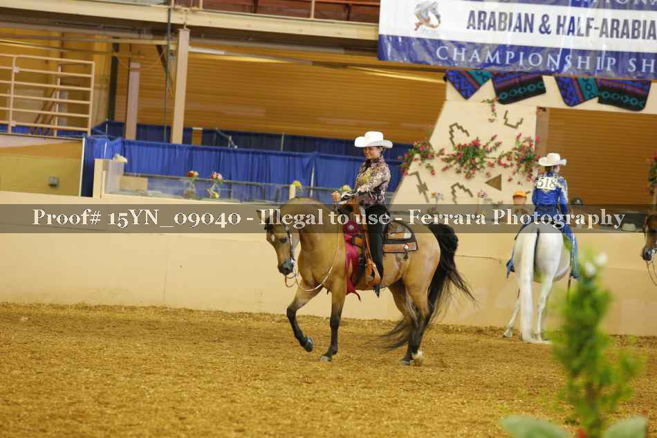 Proof Number 15YN_09040
