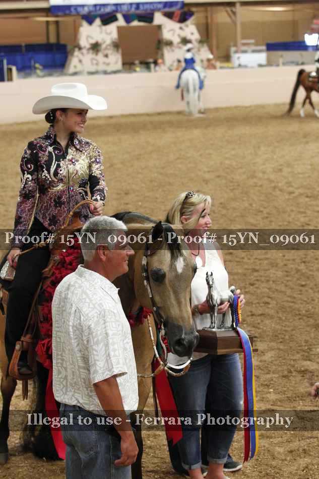 Proof Number 15YN_09061