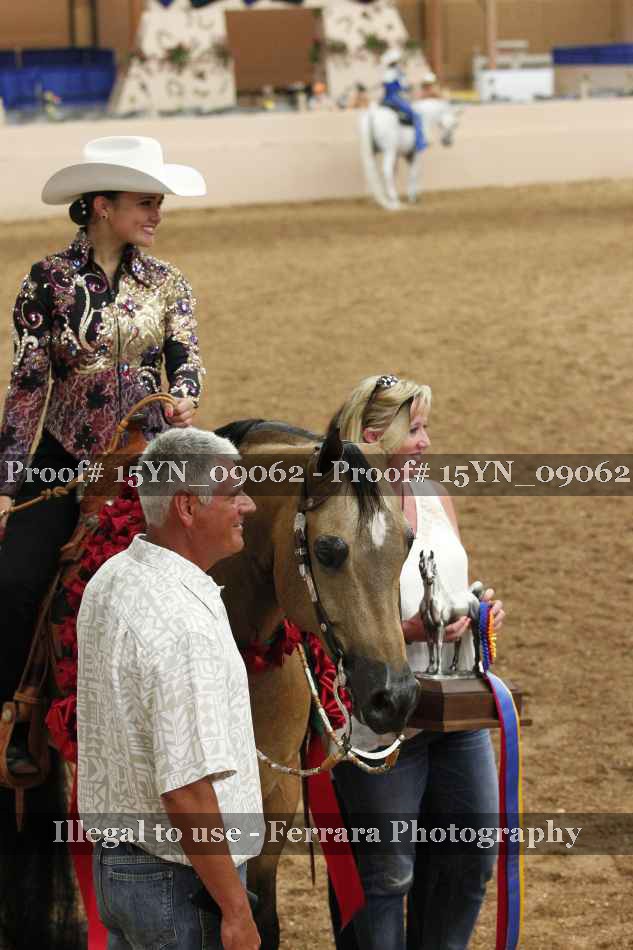 Proof Number 15YN_09062
