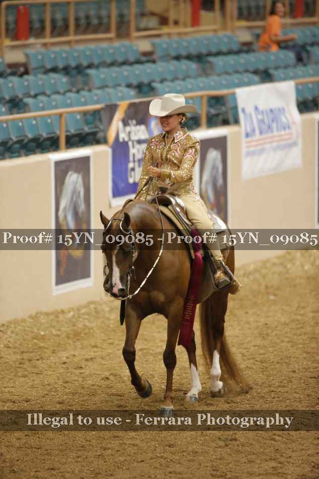 Proof Number 15YN_09085