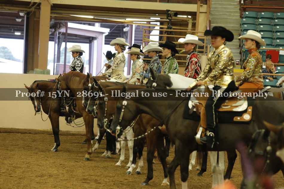 Proof Number 15YN_28691