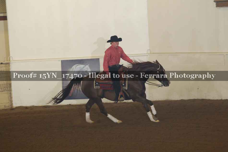 Proof Number 15YN_17470