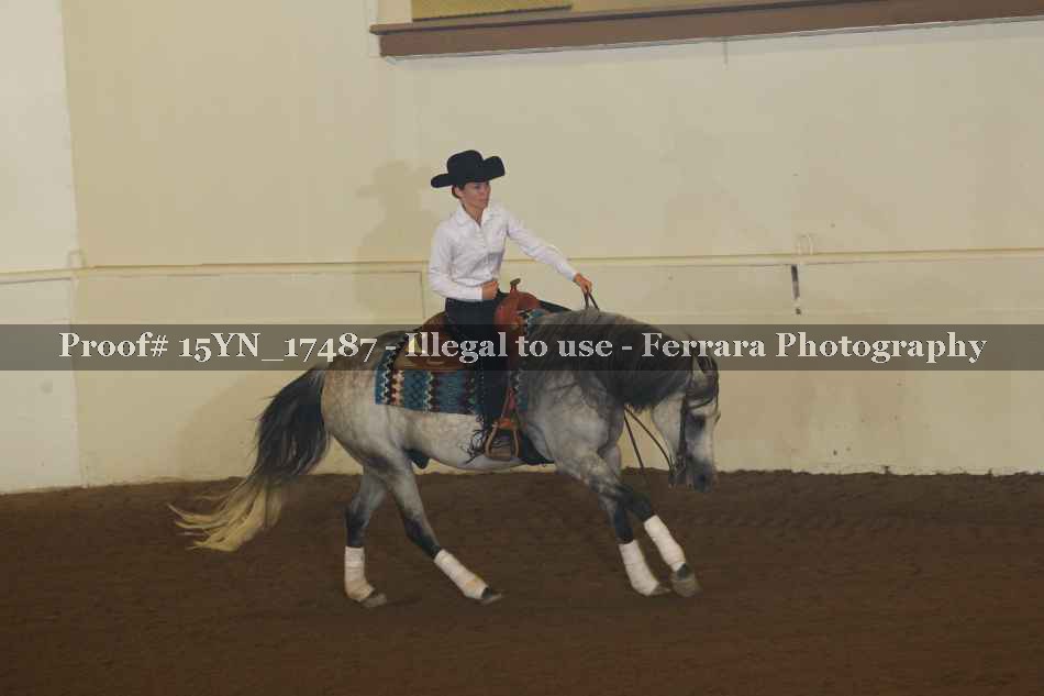 Proof Number 15YN_17487