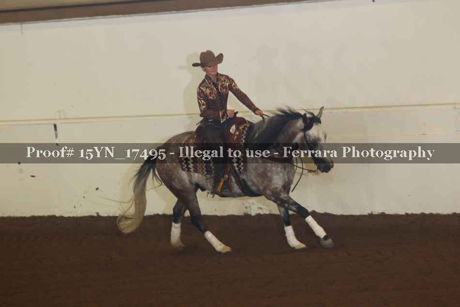 Proof Number 15YN_17495