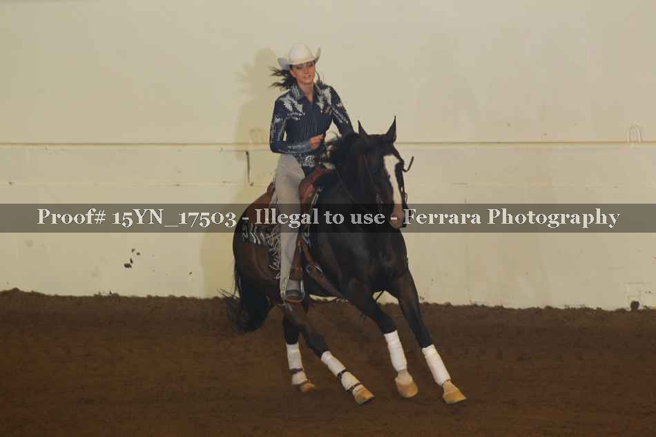 Proof Number 15YN_17503