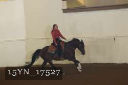 15YN_17527 thumbnail
