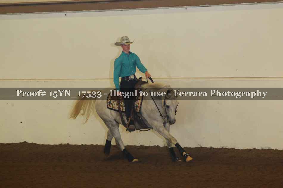 Proof Number 15YN_17533
