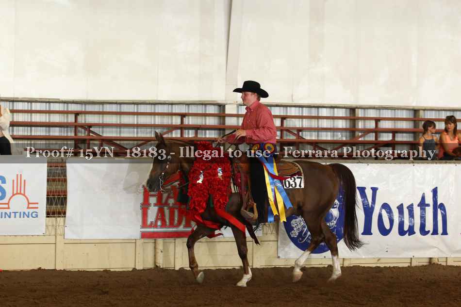 Proof Number 15YN_18183