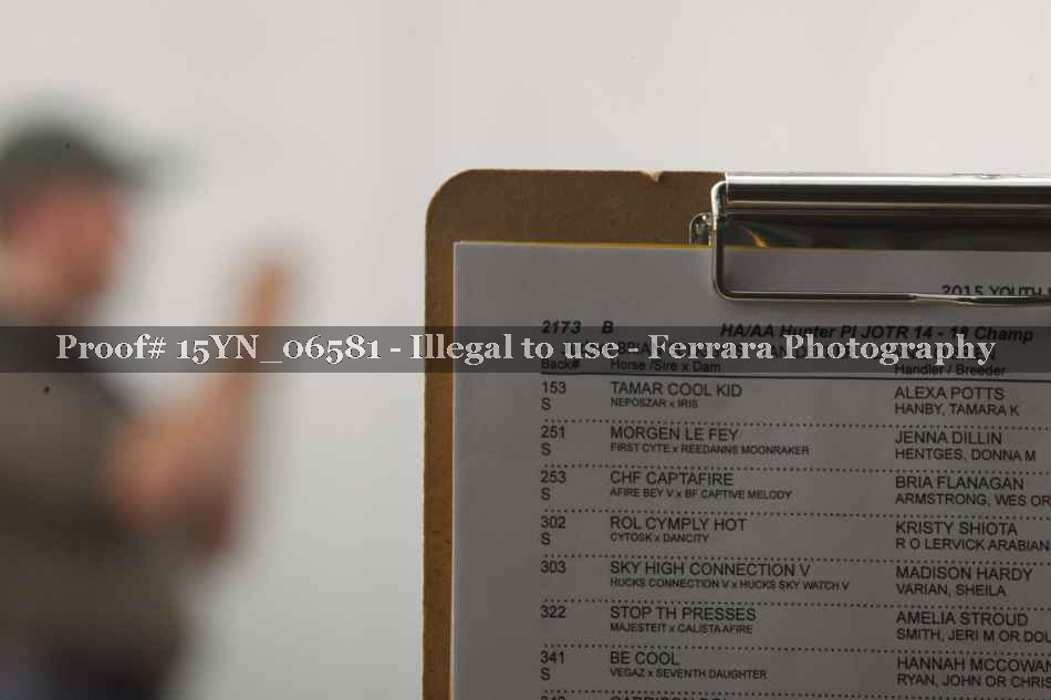 Proof Number 15YN_06581