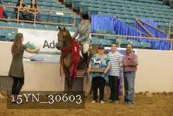 15YN_30603 thumbnail