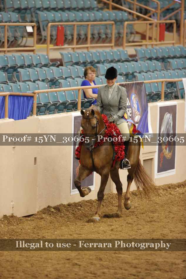 Proof Number 15YN_30665