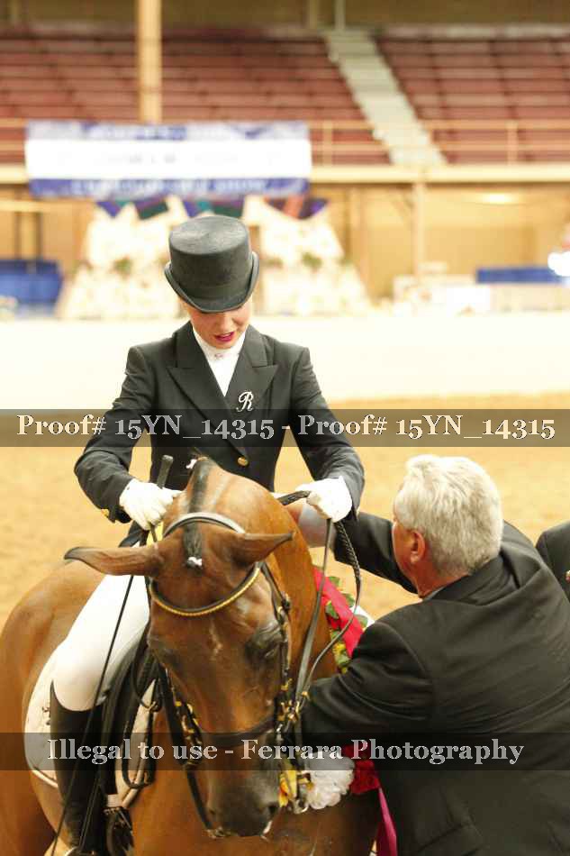 Proof Number 15YN_14315