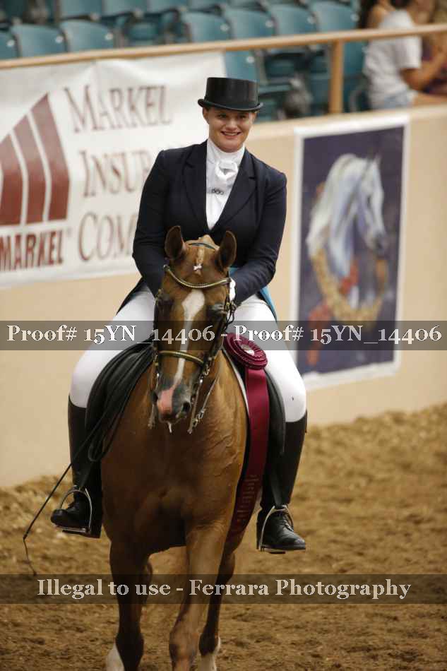 Proof Number 15YN_14406