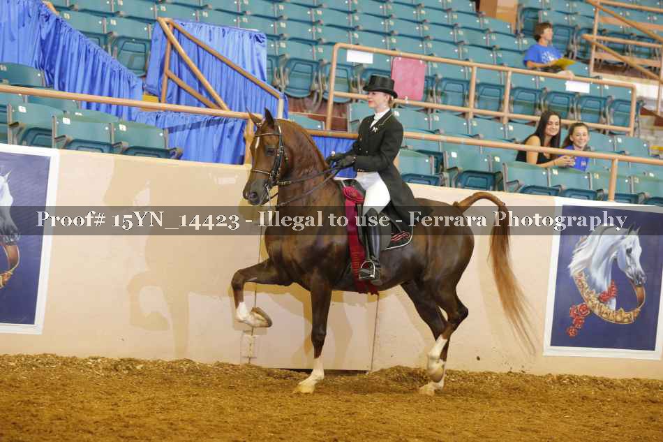 Proof Number 15YN_14423