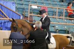 15YN_21606 thumbnail