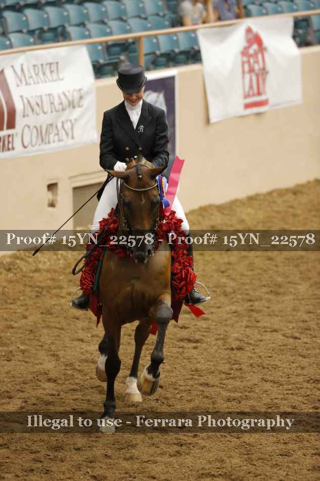 Proof Number 15YN_22578