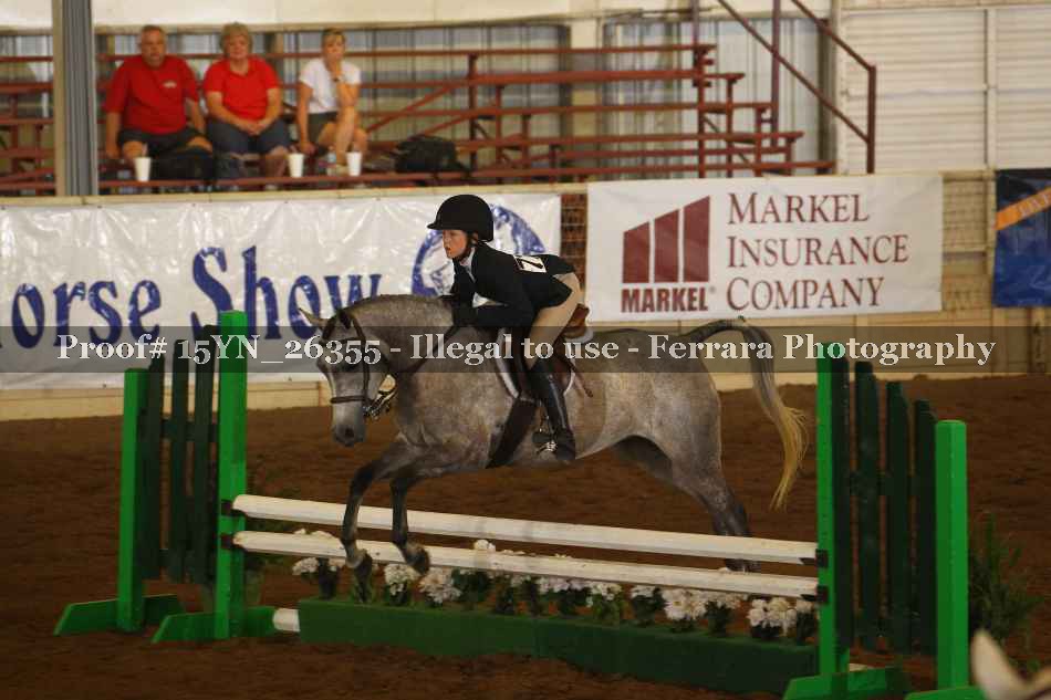 Proof Number 15YN_26355