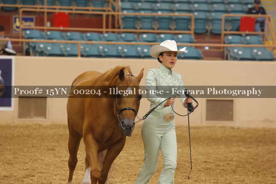 Proof Number 15YN_00204
