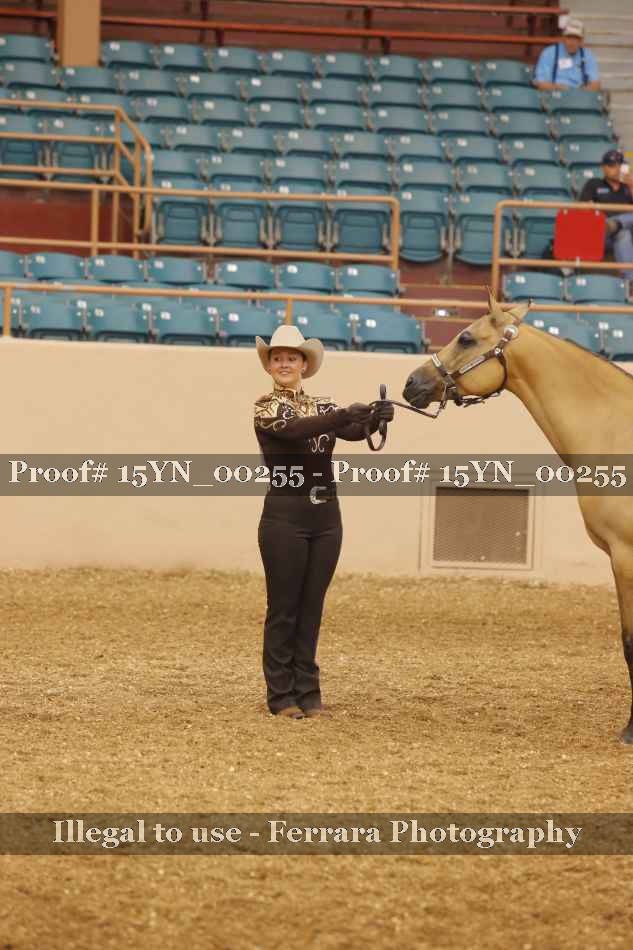 Proof Number 15YN_00255