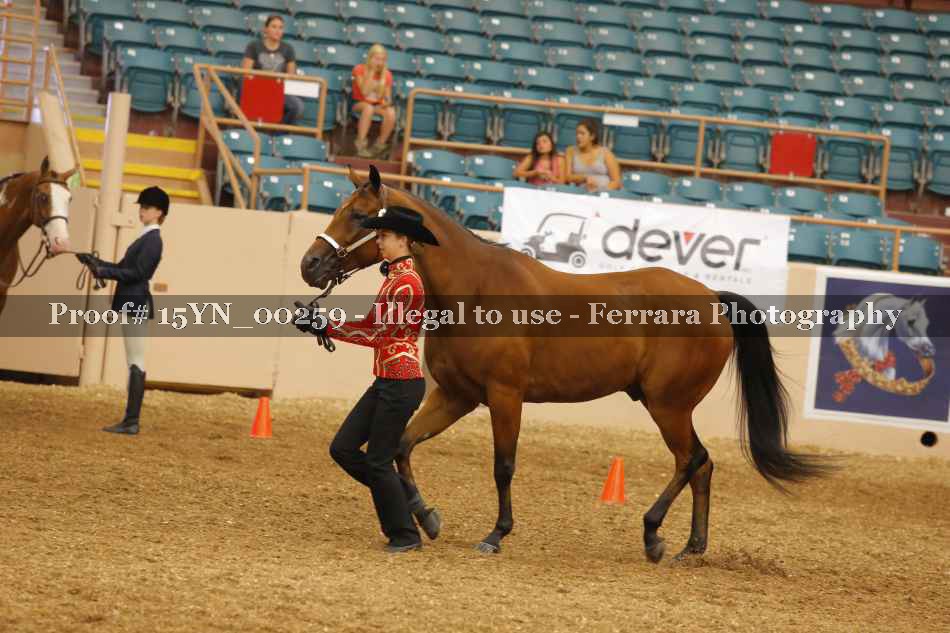 Proof Number 15YN_00259
