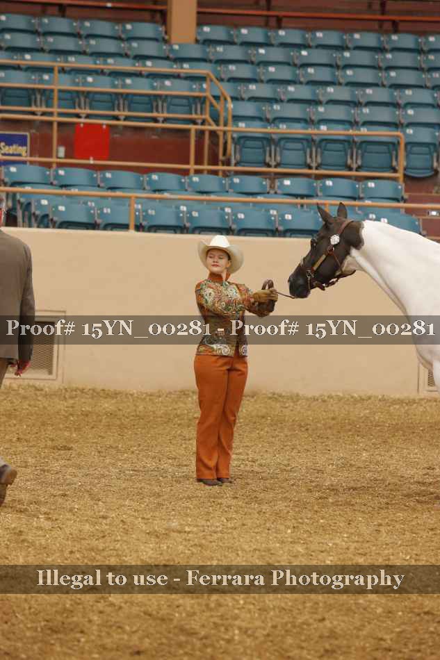 Proof Number 15YN_00281