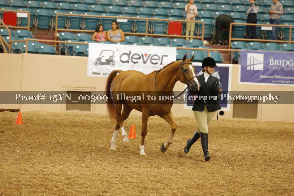 Proof Number 15YN_00309