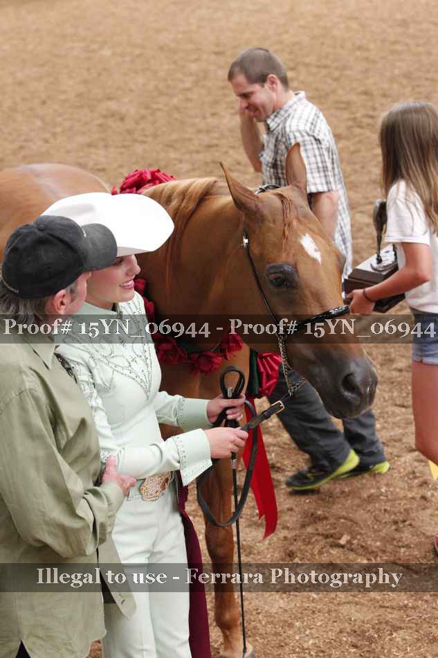 Proof Number 15YN_06944