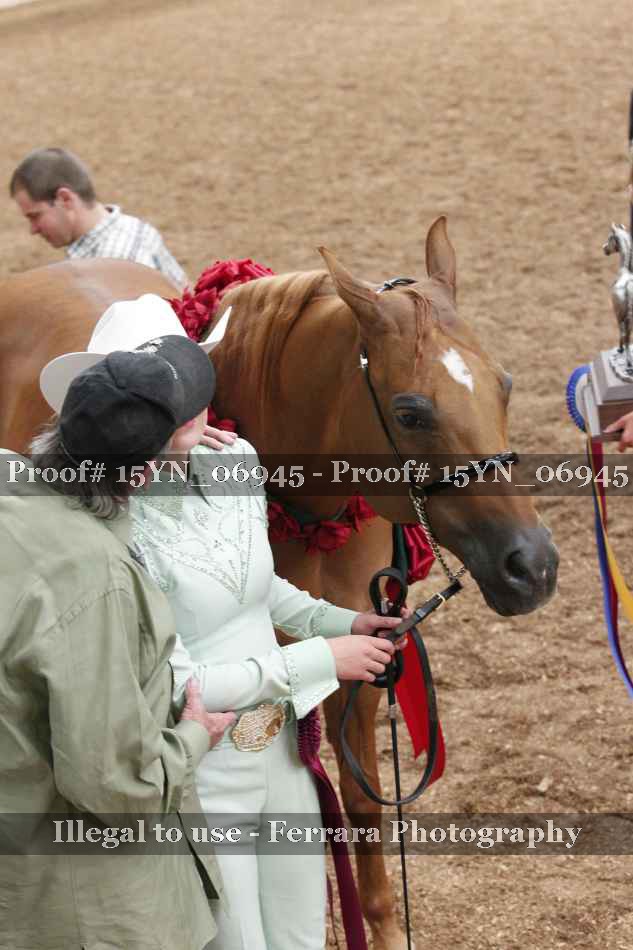 Proof Number 15YN_06945
