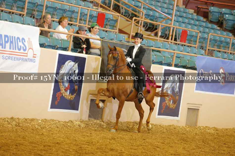 Proof Number 15YN_10601
