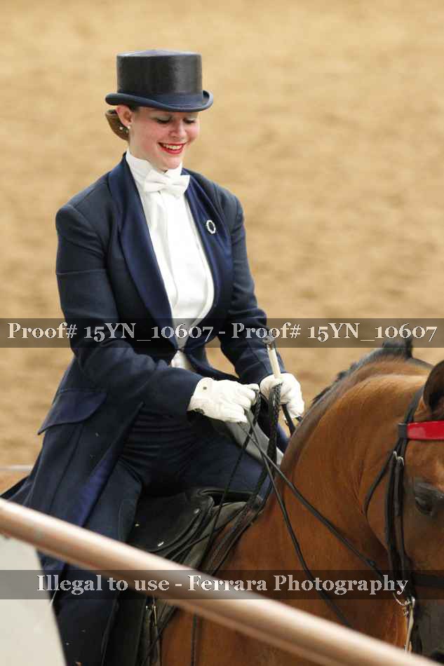 Proof Number 15YN_10607
