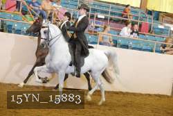 15YN_15883 thumbnail