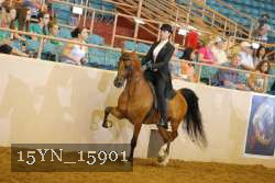 15YN_15901 thumbnail