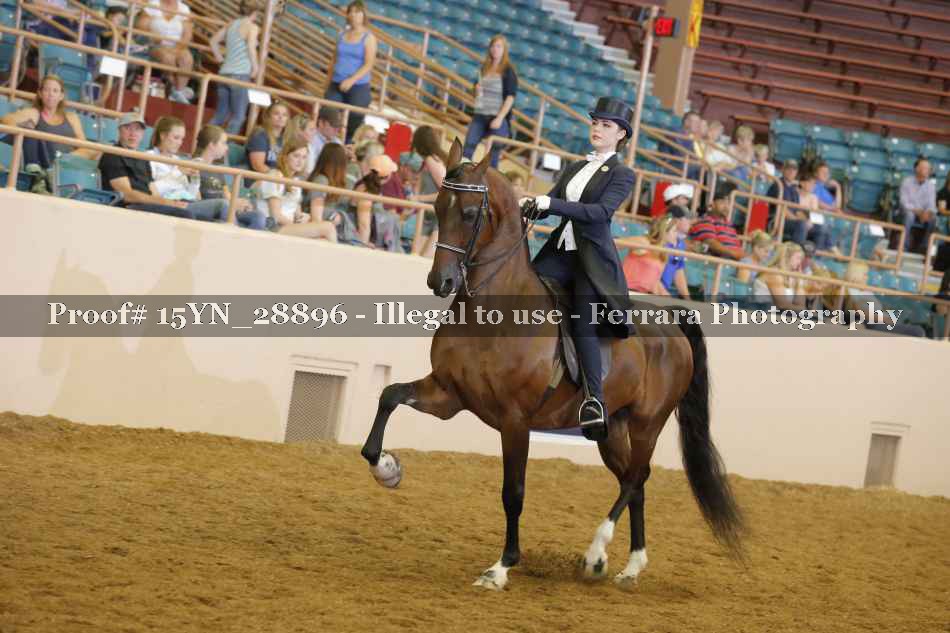 Proof Number 15YN_28896