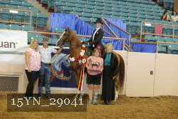 15YN_29041 thumbnail