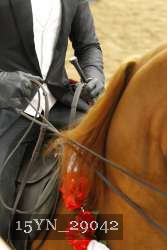 15YN_29042 thumbnail