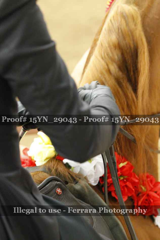Proof Number 15YN_29043