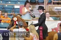 15YN_29047 thumbnail