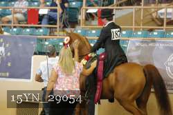 15YN_29054 thumbnail