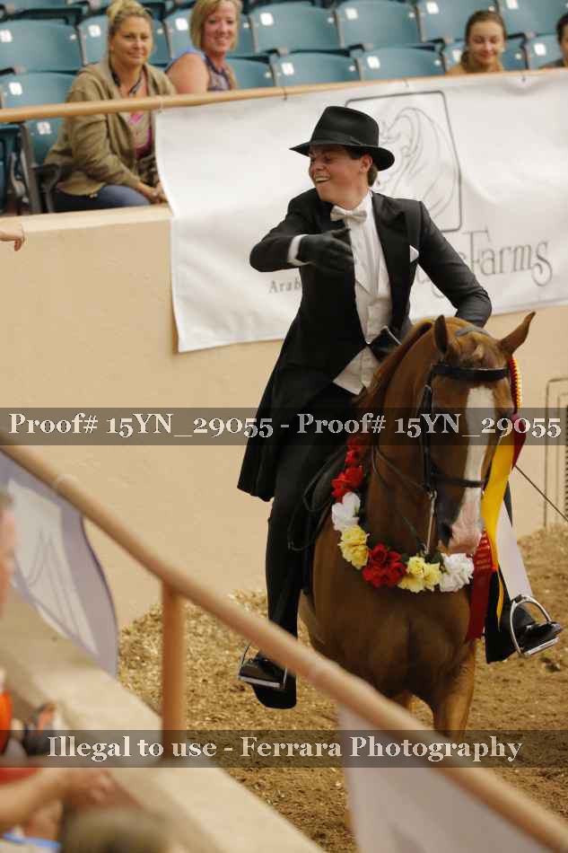 Proof Number 15YN_29055