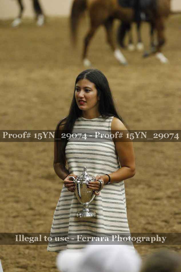 Proof Number 15YN_29074