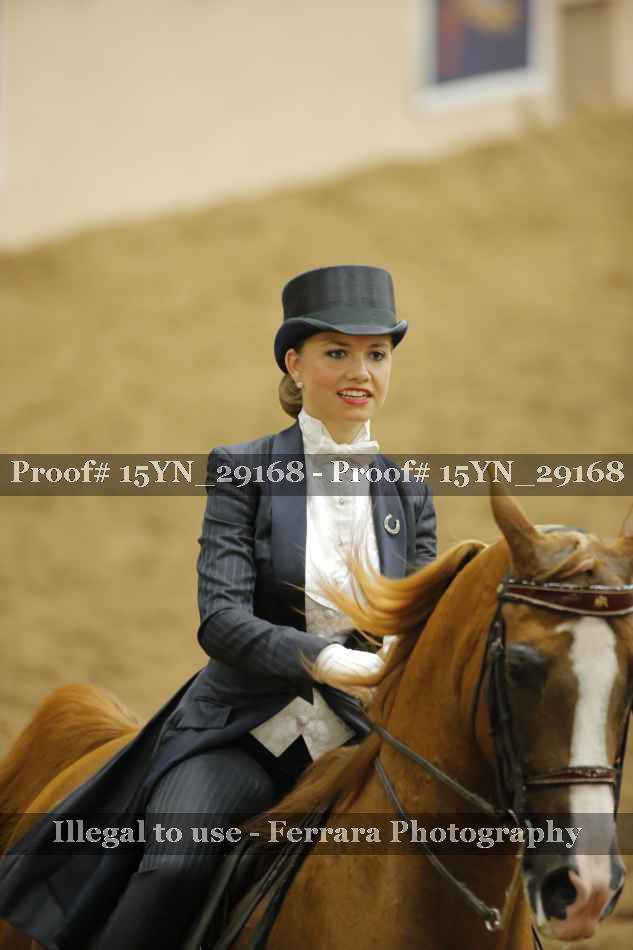 Proof Number 15YN_29168