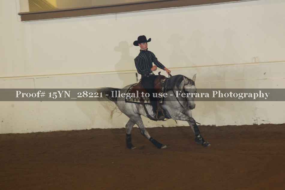 Proof Number 15YN_28221