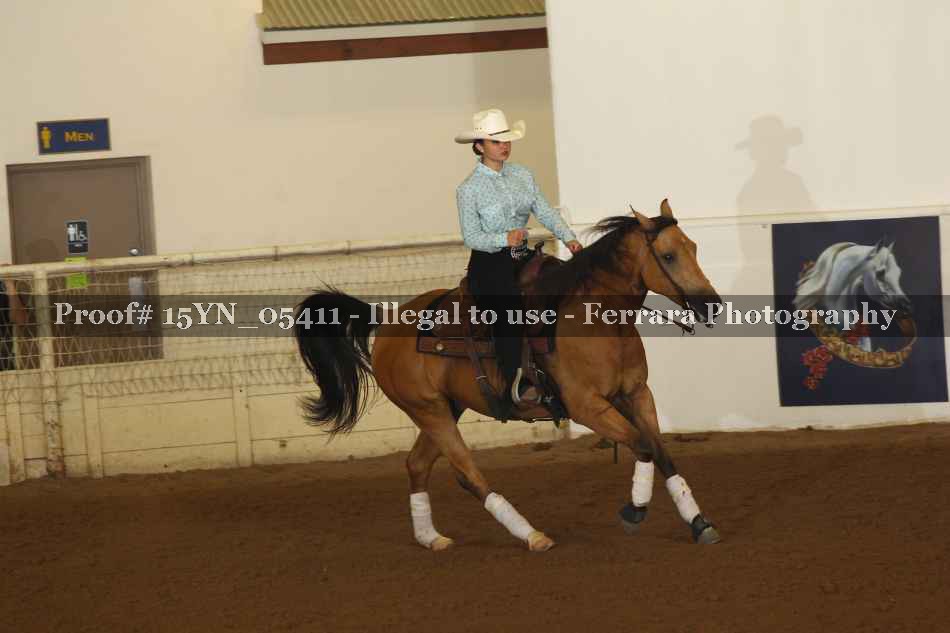 Proof Number 15YN_05411